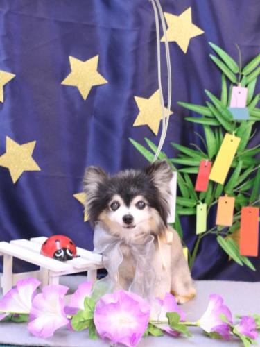 20230715虎ちゃん